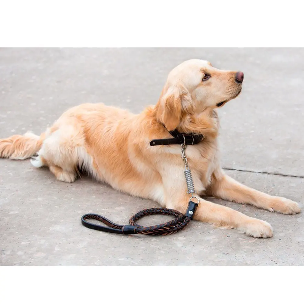 Поводок для собак поводок автоматический тяговых канатов 8 ниточный Весна теплые