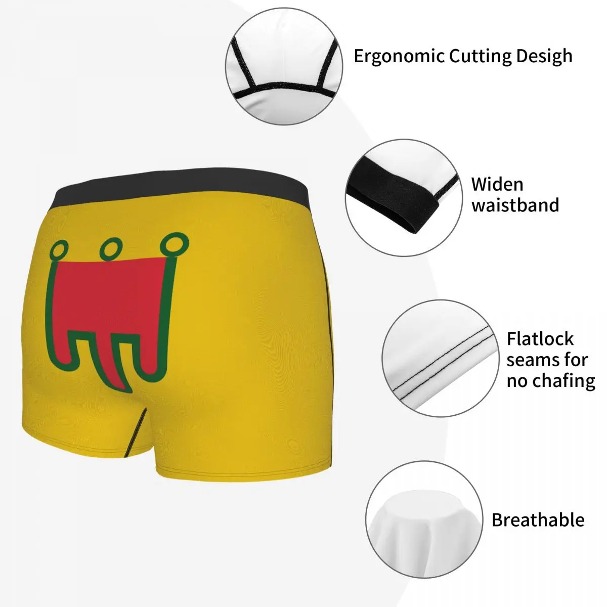 Flag Of Auvergne Men's Boxer Briefs Flags of the regions of France Humor Graphic Men's boxer leggings