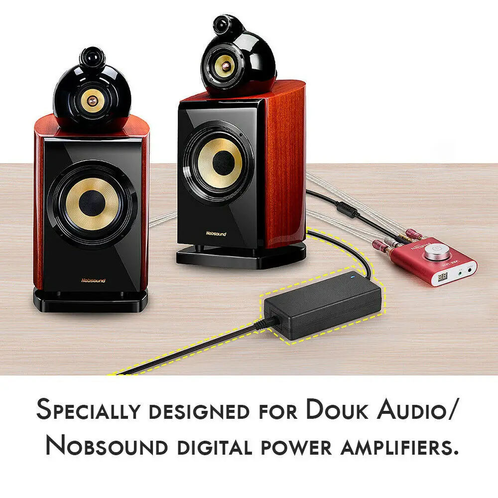 Блок питания Douk Audio 19 в 100 А адаптер переменного/постоянного тока зарядное