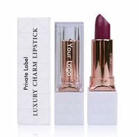 nude lispstick private label wholesale matte lipsticks custom logo lip makeup cosmetics set waterproof velvet lipstick