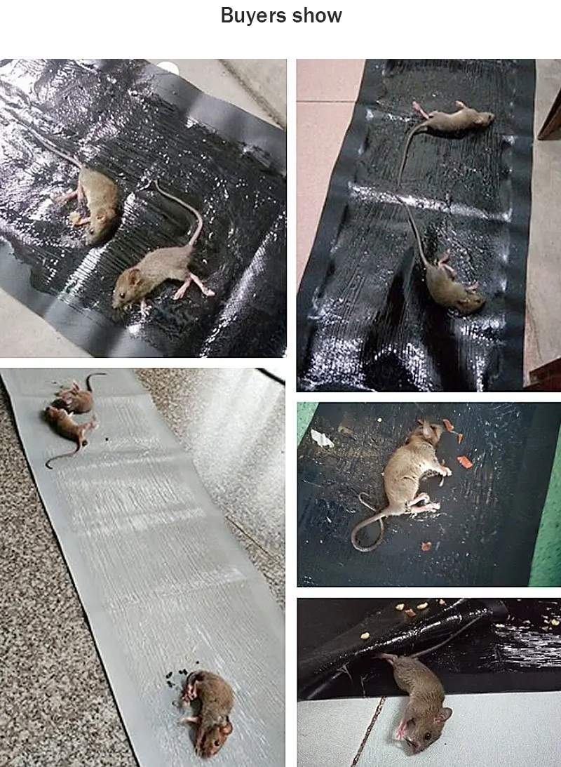 Домашнее одеяло для мышей повышенной клейкости большого размера водостойкое одеяло для ловушки мыши высокоэффективное нетоксичное крепкое клей