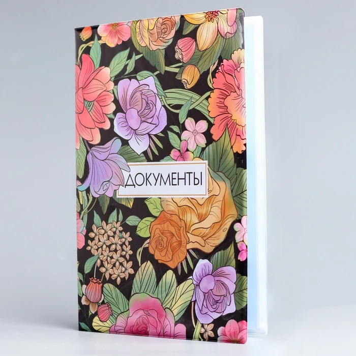 Папка для документов Принцессы 12 файлов 4 комплекта|Папка файлов| |