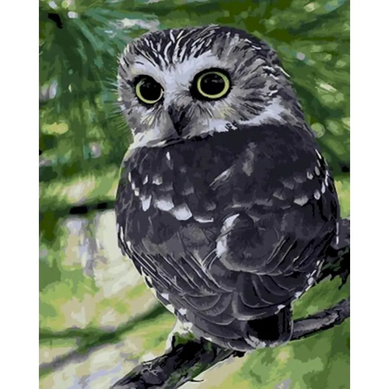 

Gatyztory Owl Frame Paint By Numbers For Adults Kids Animal Handpainted Oil Painting Canvas Drawing DIY Gift Wall Decor 60×75cm