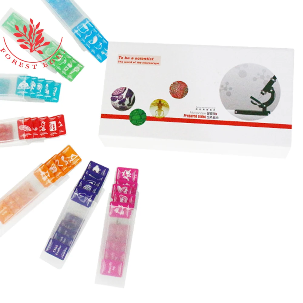 Подготовленные горки для студентов 35 шт. биологический образец искусственные