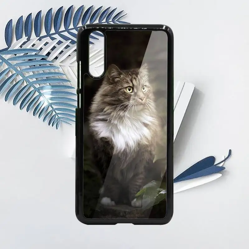 

pet maine coon cat cute animal Phone Case PC For Samsung galaxy S note 8 9 20 10 e lite2019 plus pro ultra
