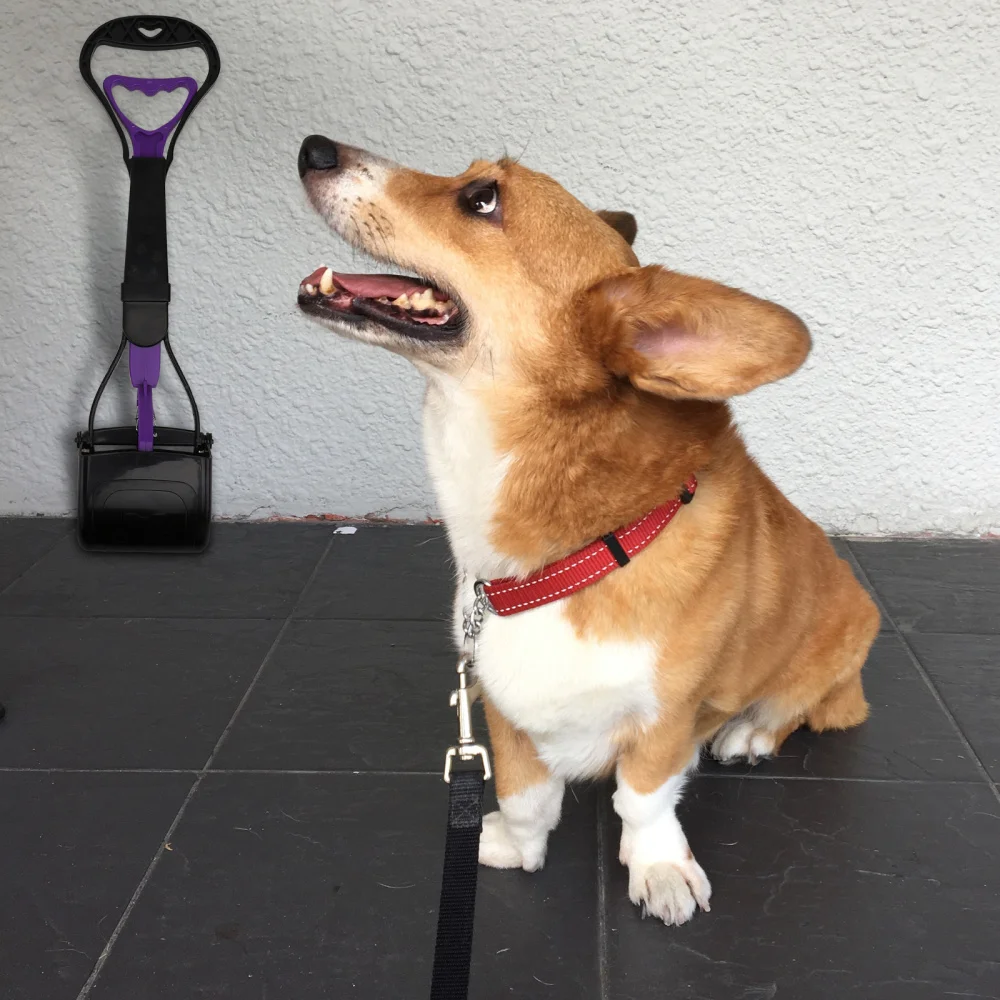 Recogedor de excrementos de perro, pala para recoger heces de mascotas, bolsas de herramientas incluidas, 1 unidad-2
