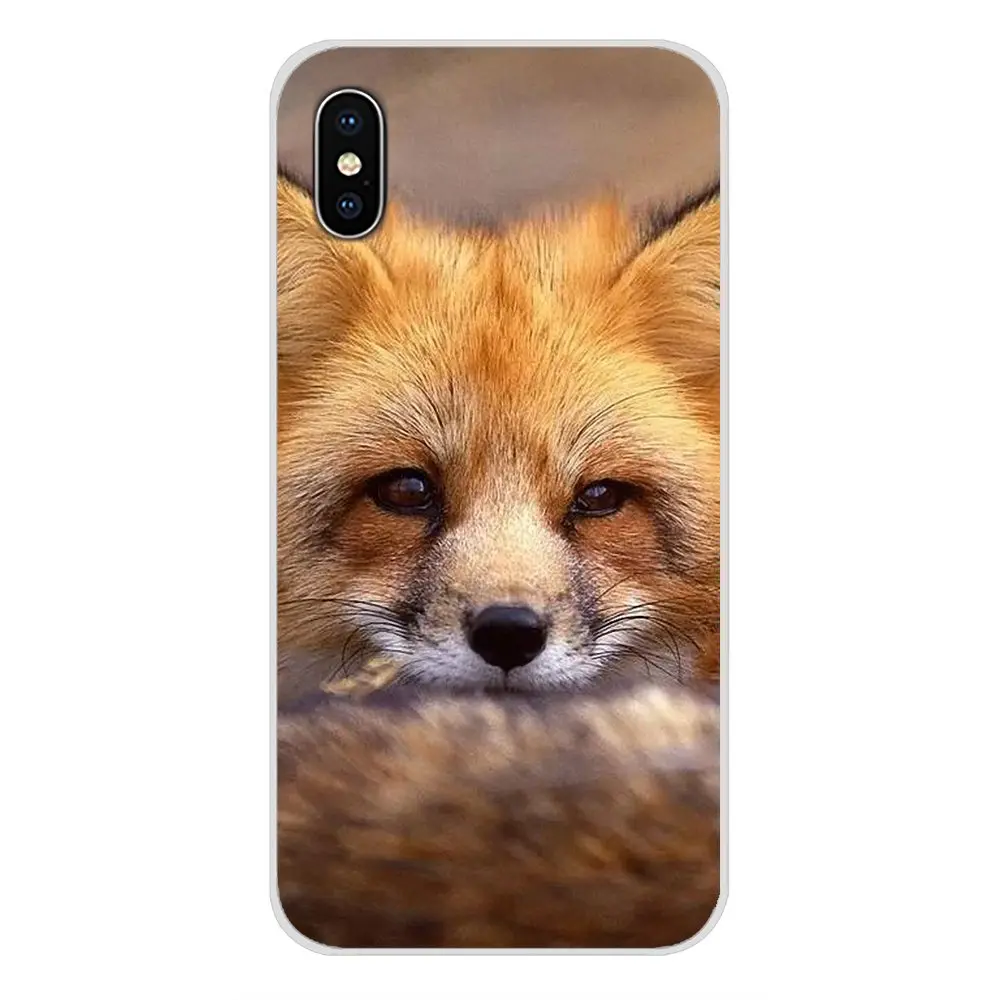 Для Apple ipod 5 6 iPhone X XR XS 11Pro MAX 4S 5S 5C SE 6S 7 8 Plus животных лисий мех енота аксессуары для