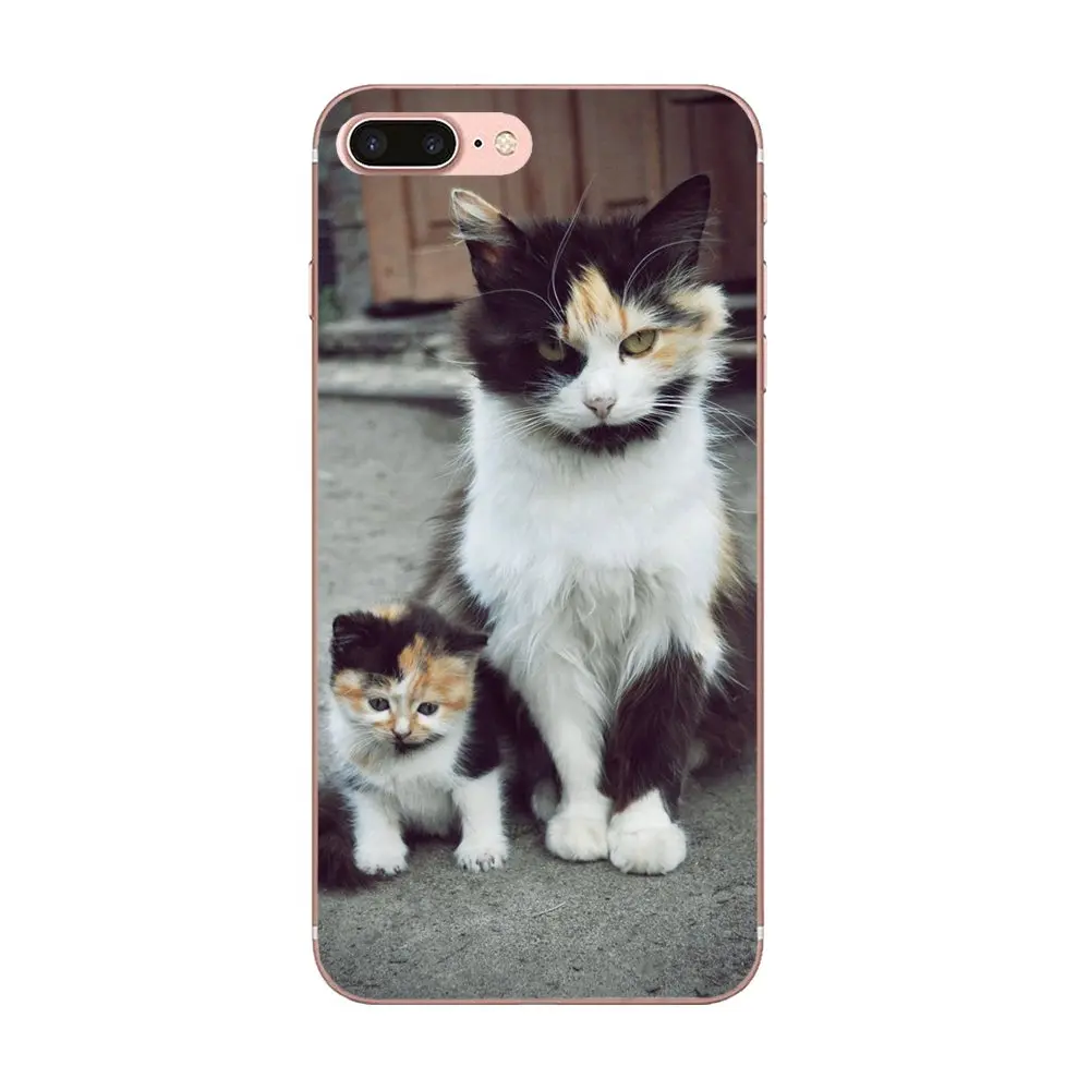 Мягкие чехлы с котенком черным котом животным для Xiaomi CC9 CC9E Mi 3 4 4i 5 детской 6 6X 8 9 SE