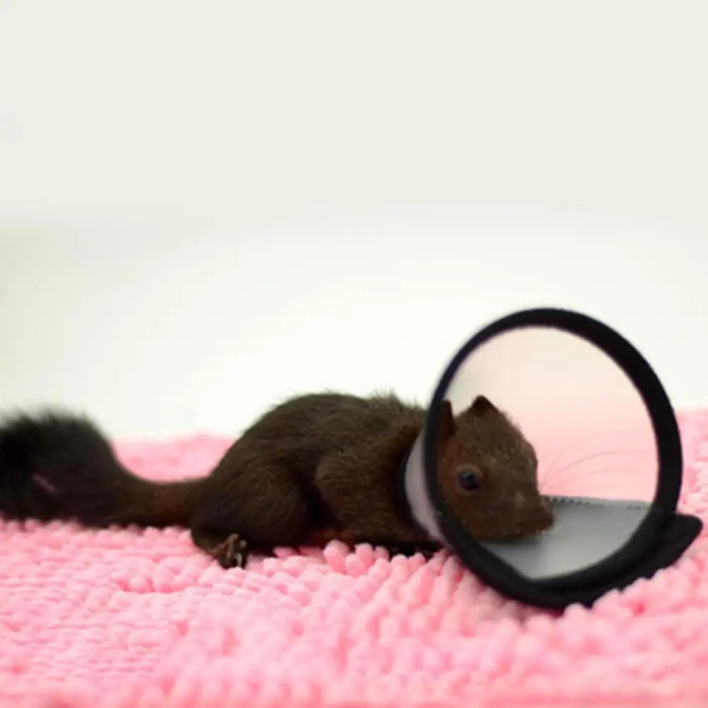 Защитный конус для шеи грызунов хомяков кроликов|Ошейники упряжки и поводки| |