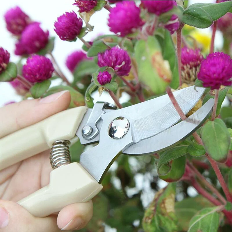 Ножницы из нержавеющей стали обрезка сада ножницы для цветов сбора деревьев