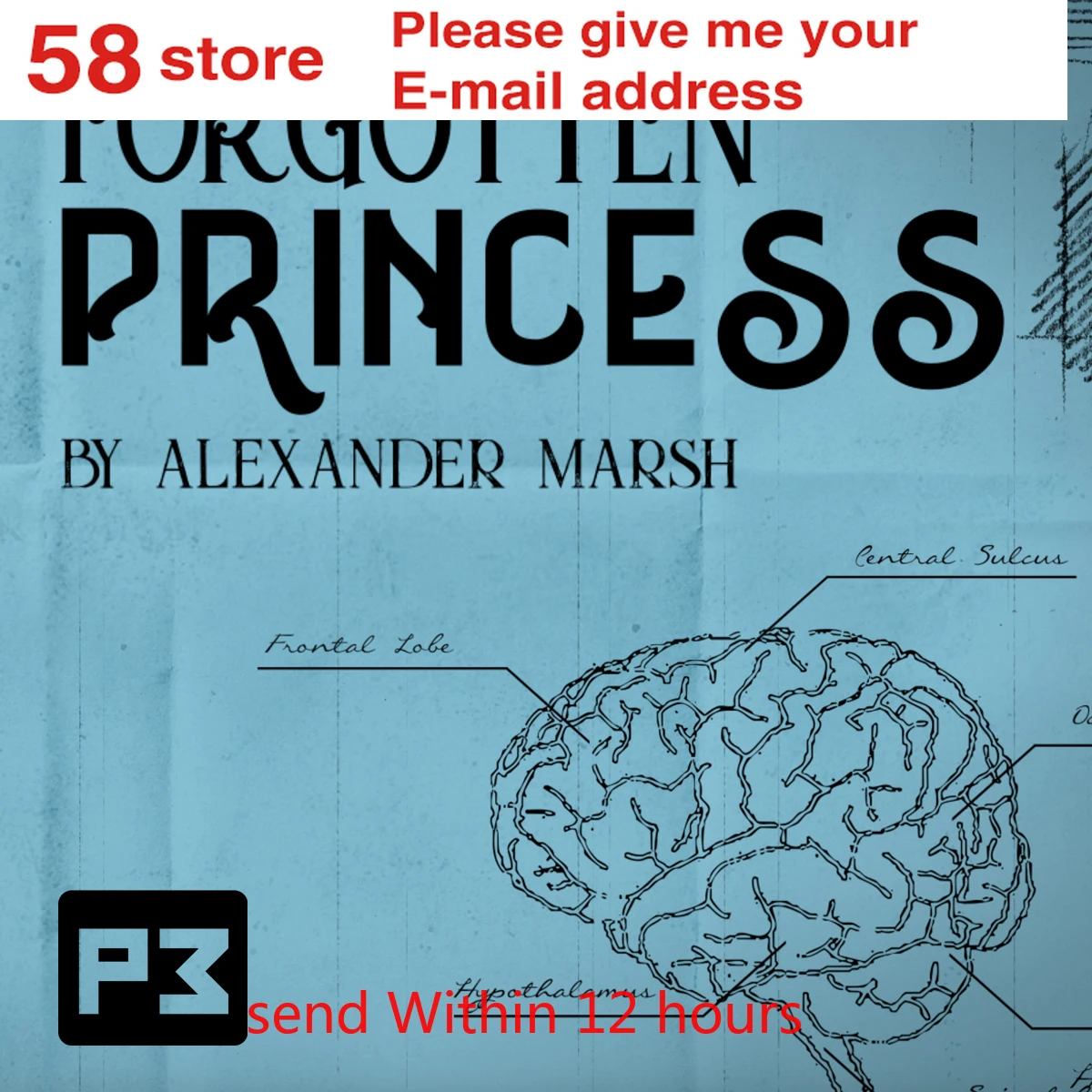 

Forgotten Princess by Alexander Marsh Magic Instructions Magic trick
