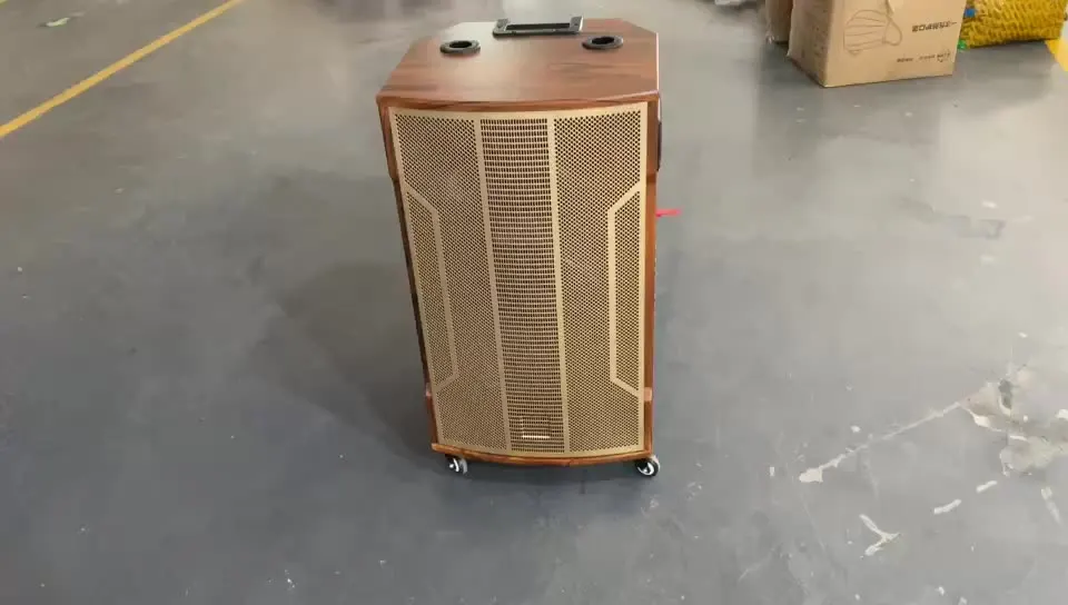 安い 15インチのホイールが付いた高品質の木製スピーカー,2つのワイヤレスマイクを備えた大きくて強力なサウンド,パーティー,結婚式,新しい2020