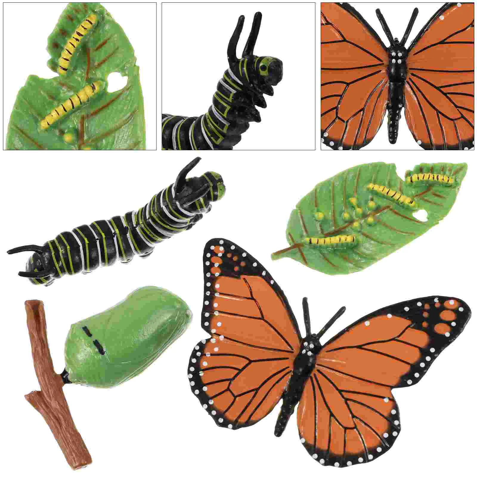 

4Pcs Plastic Insect Growth Cycle Kit Butterflies Growth Cycle Decoration