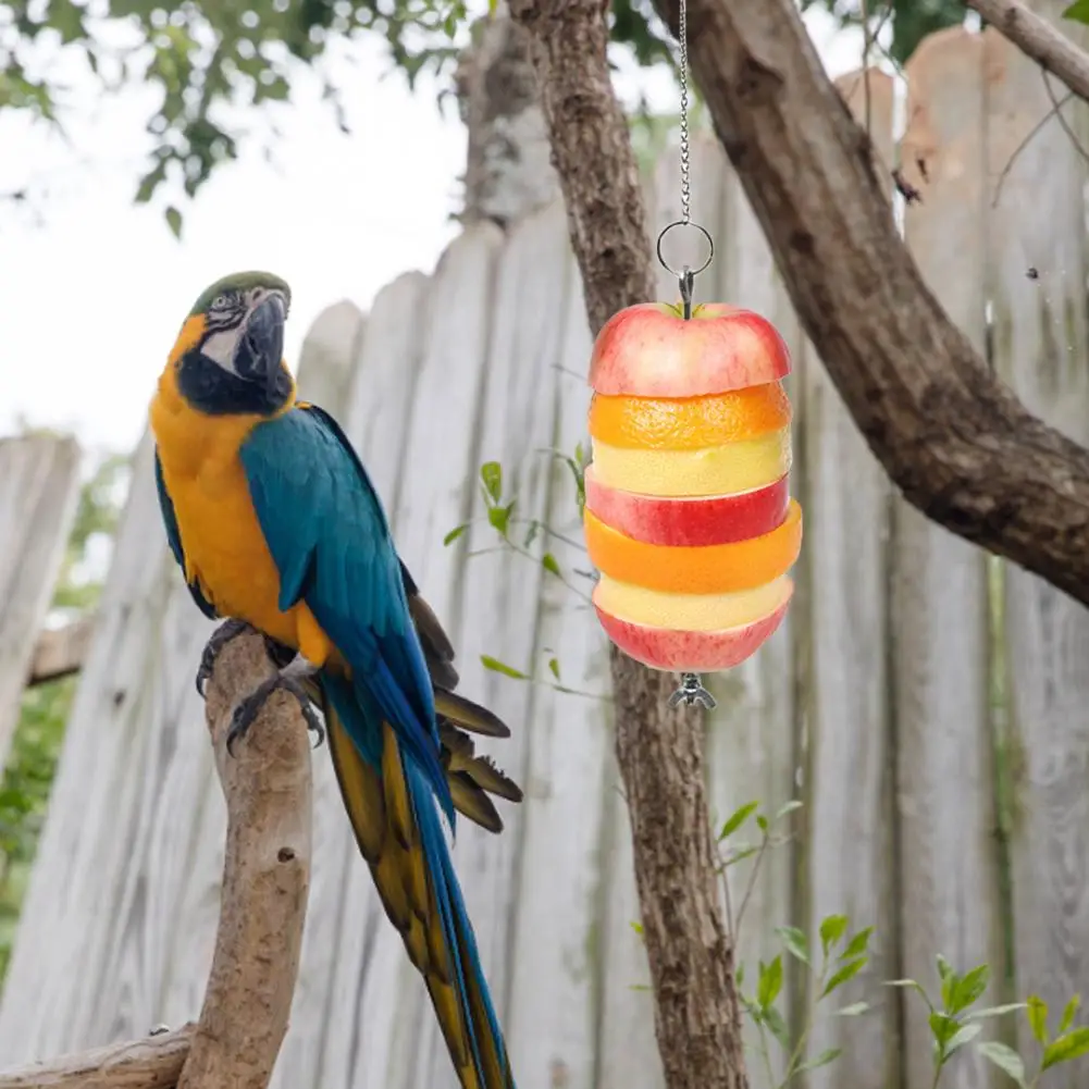 

Bird Feeder Toy Chicken Fruit Vegetable Holder Stainless Steel Hanging Feeder for Hens Birds Parrots Cockatoo bird bird feeder
