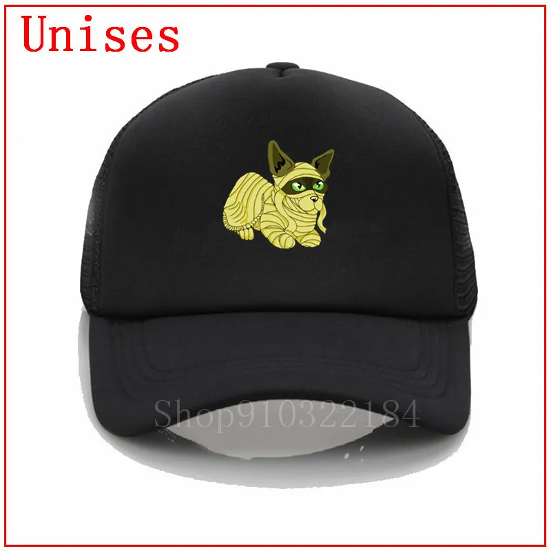 Бестселлер: шапки для женщин и мужчин в виде кота египетской мамы модные 2020 |