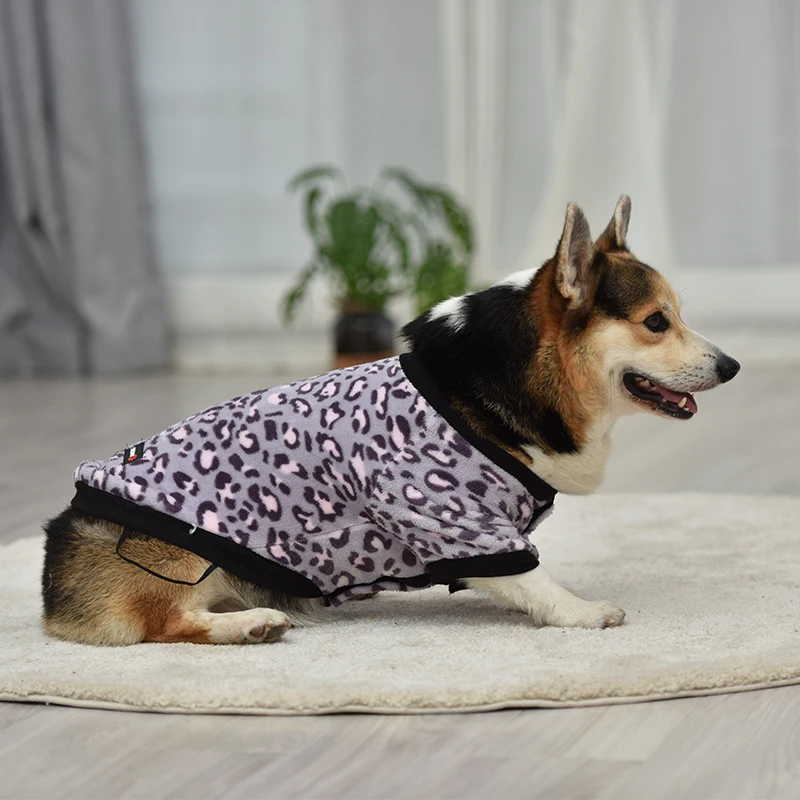 Одежда для домашних животных осенне-зимнее новое бархатное флисовое пальто на