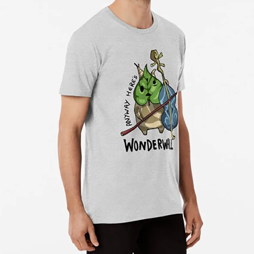 В любом случае это Wonderwall футболка wonderwall скрипка windwaker wind waker zelda legend of loz makar korok |