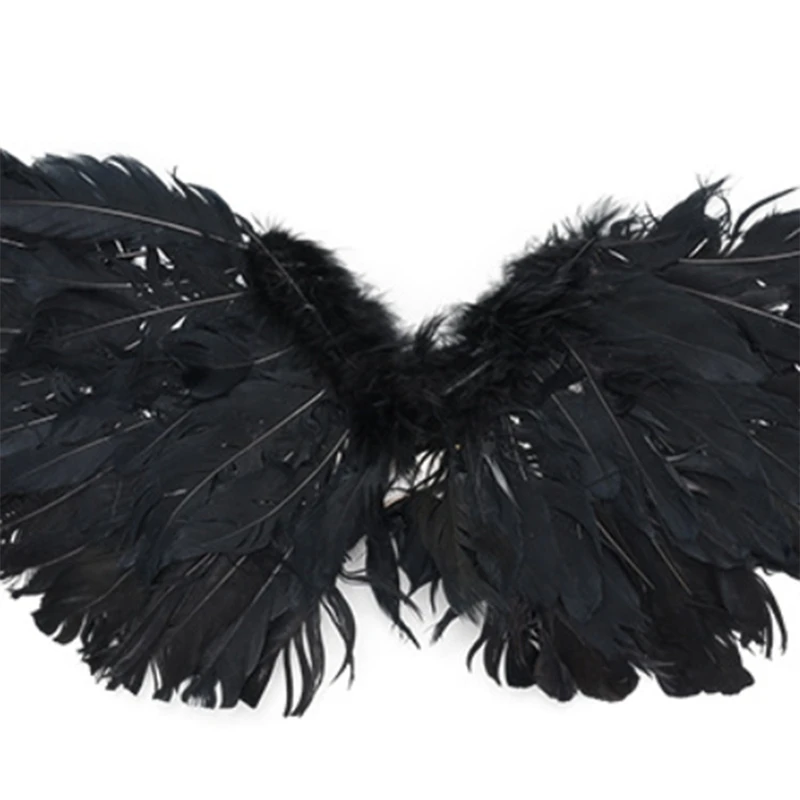 

Pet Halloween Feather Wings Devil and Angel Holiday Transfiguration Dog