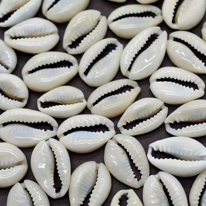 

50pcs 1.5/2cm Small Bulk Cut Beach Sea Natural Shell Conch Beads Cowry Cowrie Tribal Jewelery Craft Accessories Holes DIY