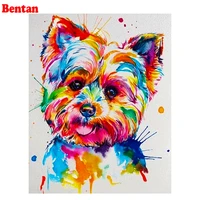 5d diamond painting yorkshire terrier cross stitch kits diy diamond embroidery color dog full square round drill home decoration