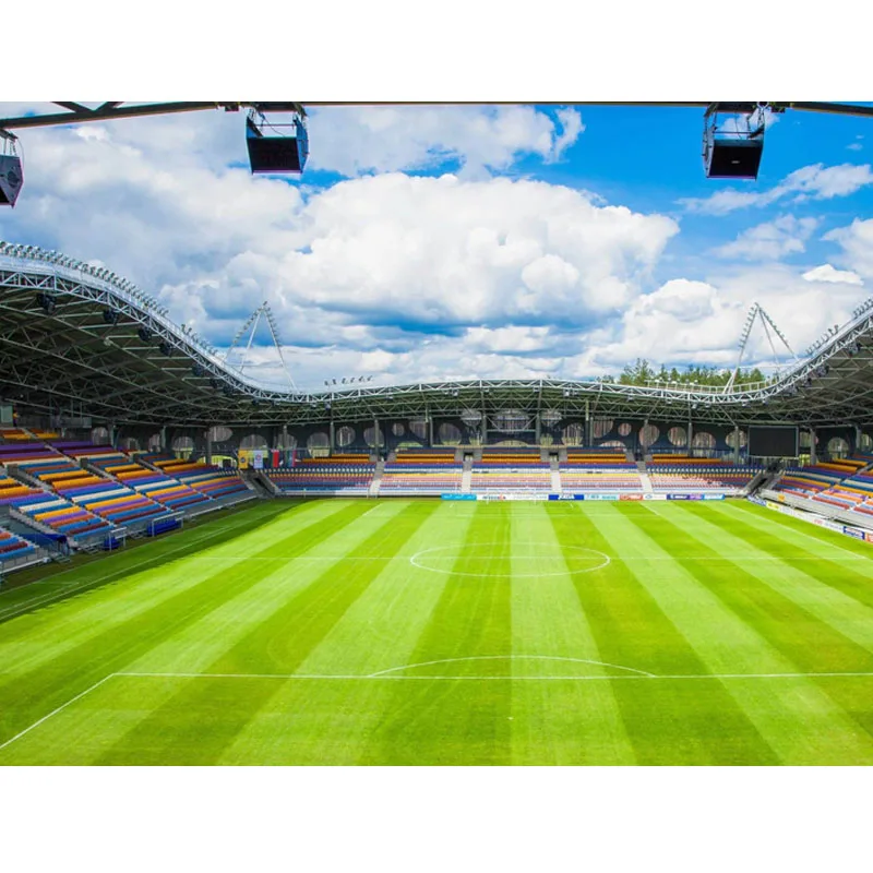 Домашний прямоугольный ковер на заказ для гостиницы мини футбольное поле