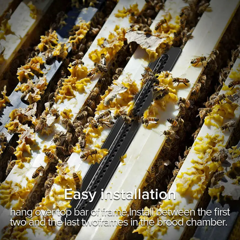 Trampa para colmena de abejas peque&ntilde;as, herramientas de apicultura, escarabajo, trampa para escarabajo, 20 piezas-2