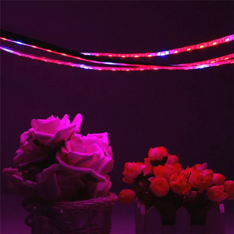 

LED Grow light Full Spectrum 1M 2M 5M LED Strip 5050 LED Flower Plant Phyto Growth lamps For Greenhouse Hydroponic Plant Growing
