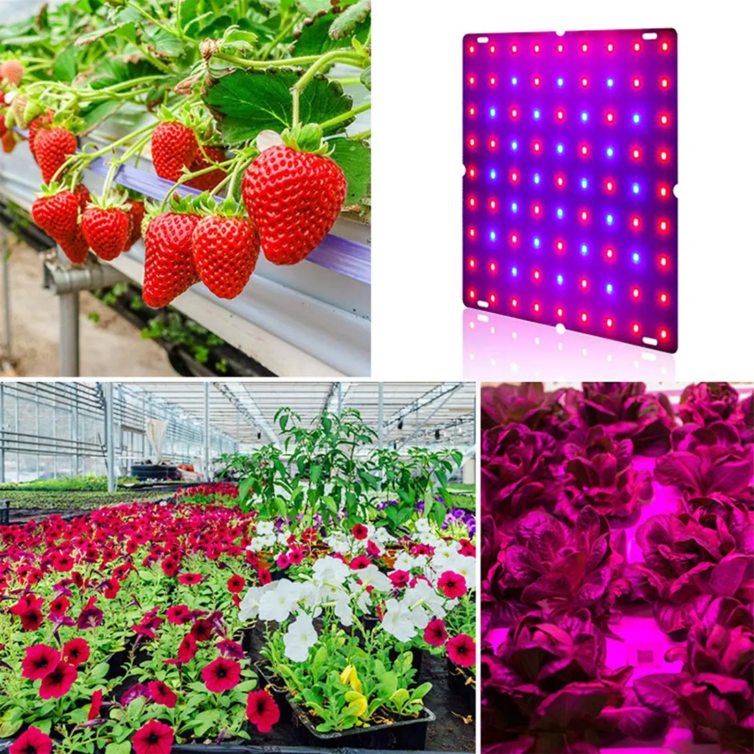 

1000W LED Grow Lights Panel 81-256 Beads Phyto Lamp AC85-240V EU/US Plug For Indoor Grow Tent Plants Growth Light