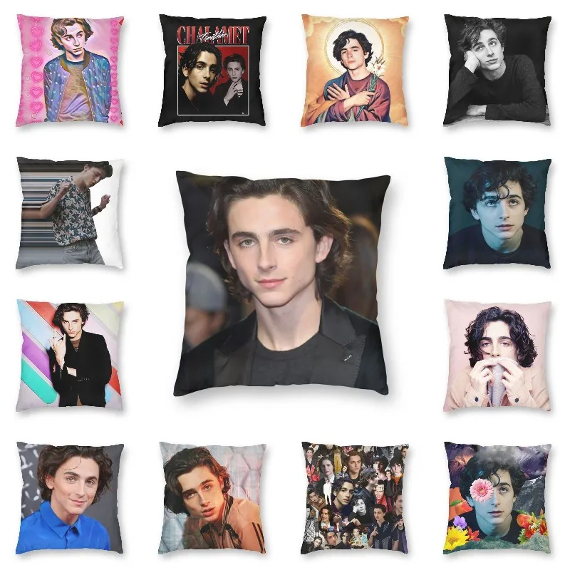 

Timothee Chalamet Cushion Cover Two Side 3D Printing 90s TV Actor Floor Pillow Case for Sofa Cool Pillowcase Home Decorative