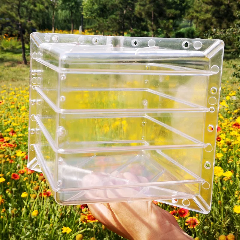 Форма для формирования арбуза форма роста фруктов выращивания овощей PI669 | Дом и