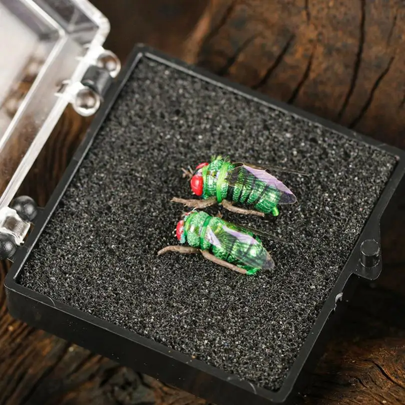 2pcs Insect Files Fly Fishing Lure Hard Artificial Bait Crankbait Feather Single Hooks Carp Fish Lures Kit Tackle Pesca - купить по