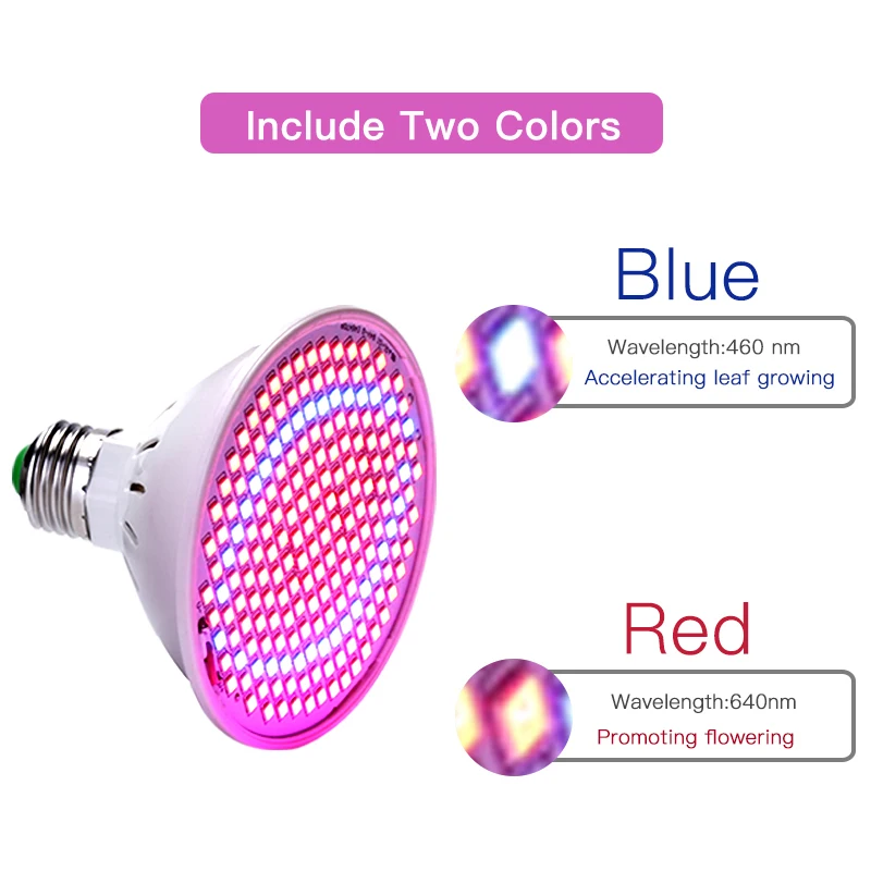 Рисунок 3 - Лампа светодиодная полного спектра