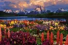 Постер GRAND TETON-SCENIC, картины маслом с изображением природных гор, настенные картины для гостиной, спальни, Декор