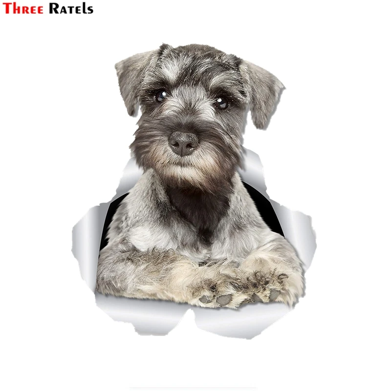 3D наклейка в виде любопытного шнауцера ThreeRatels FTC-1079 автомобильная для стены