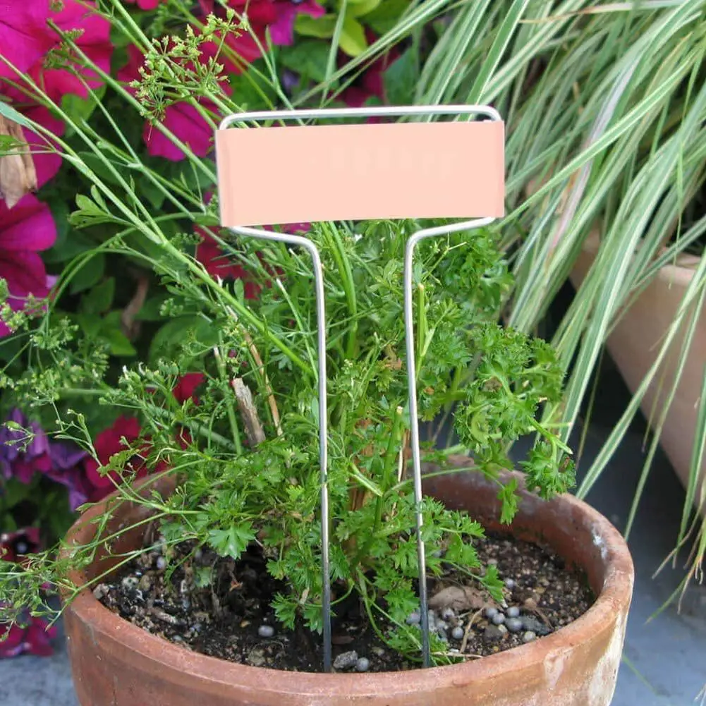 

20pcs Metal Plant Labels Garden Markers T-type Gardening Name Herbs Pots Display Identify Stick For Vegetables Herb Flower