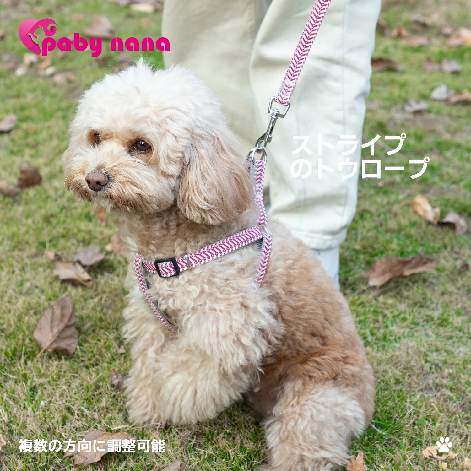 

Dog Collar Personalised Dog Collar Collar Dog Harness for Dogs Dog Accessories Dog Supplies Dog Products Customized Products