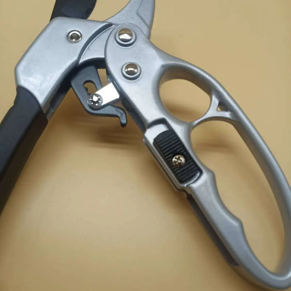 

Gardener's Pruners Ratchet Pruning Shears Garden Tool Gardening Gift For Any Occasion Garden Fruit Tree Pruning Scissors