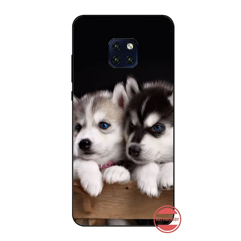 Милый мягкий силиконовый чехол для телефона из ТПУ с изображением собаки хаски