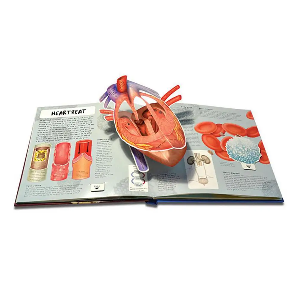 

3D Image Human Body Structure Book Cognitive Reading Anatomy Scientific Research Children Early Education Books Children Toys