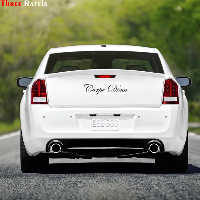 Три Ratels FTZ 103 # Carpe Diem Sticker s виниловая стильная художественная наклейка креативная