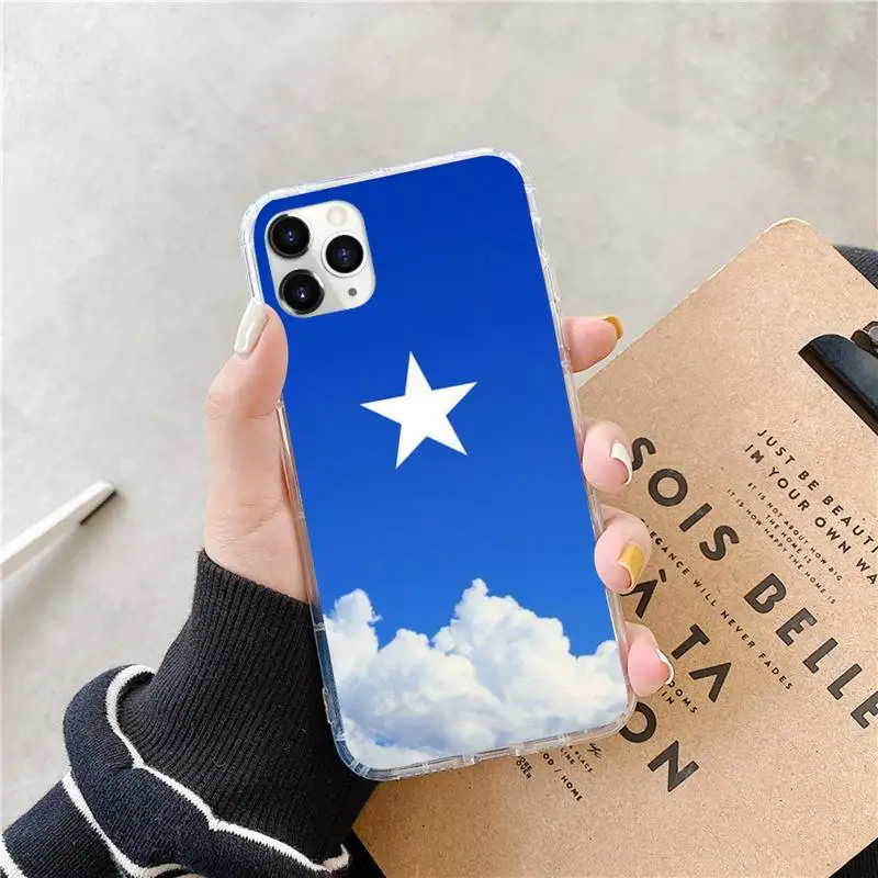 

Somali Somalia National Flag Phone Case for iPhone 11 12 mini pro XS MAX 8 7 6 6S Plus X 5S SE 2020 XR