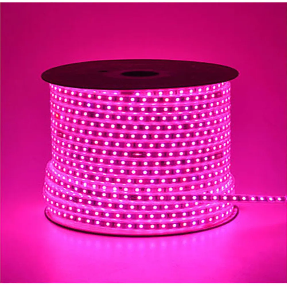220V Светодиодные ленты светильник RGB SMD 5050 лента с помощью приложения на телефоне и дистанционное управление Водонепроницаемый гибкий неоновый светодиодный светильник s на открытом воздухе украшения комнаты лампа