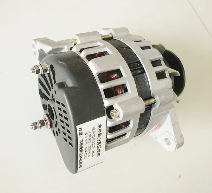 Небольшой бытовой шкив постоянный магнит постоянное напряжение 220V1500W генератор