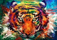 colorful tiger eyes handmade diy oil paint paint by numbers kit on canvas wall art home decor digital painting for family