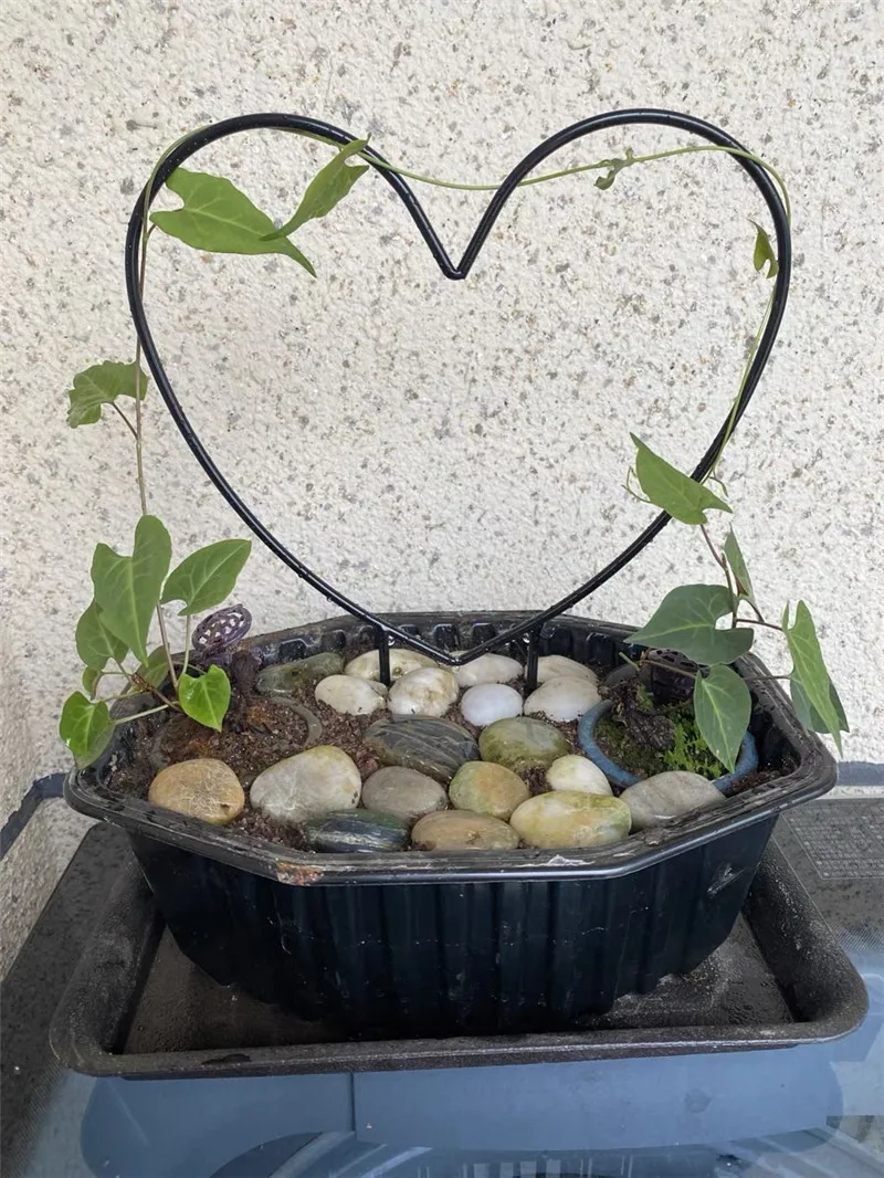 

Garden plant support climbing support frame flower pot,diy frame flower heart-shaped metal iron fixing rod