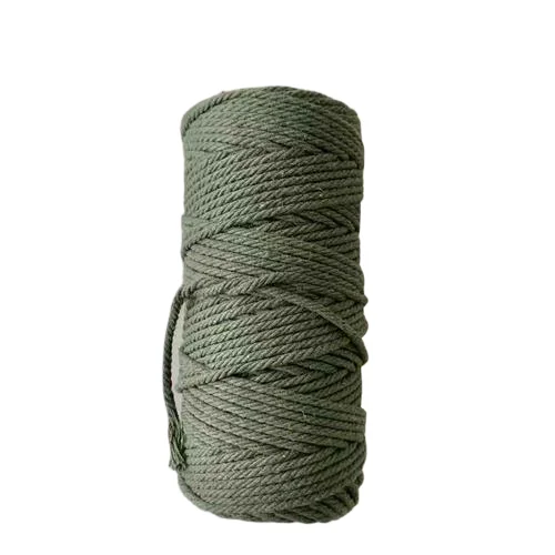 Army Green 3 мм, хлопок, цветной шнур, бежевая витая веревочка для рукоделия макраме, домашние текстильные украшения, поставка 100 м, высокое качество - Цвет: Army Green