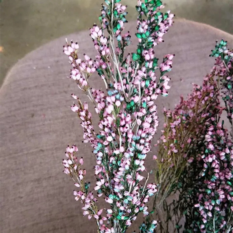 

JAROWN Dried Flower Bouquet Eternal Flower Heather Home Decoration Wedding Gift DIY Bride Headdress Accessories Campanula Flower