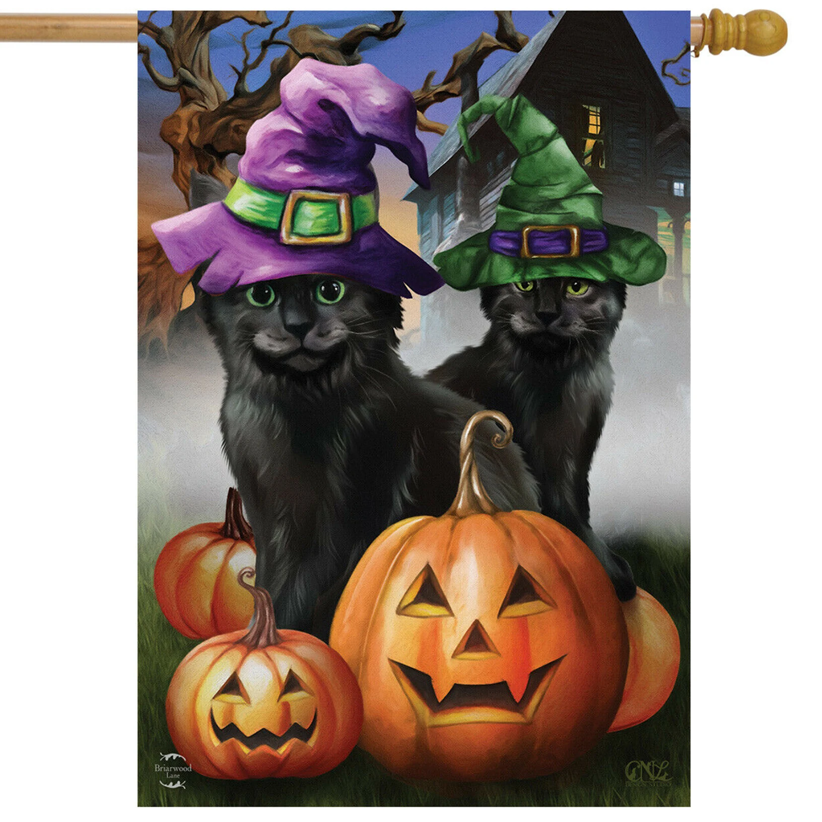 

Flag 28''x40"Kitten Halloween Banner Flag High Quality Single Side Flag Party DIY Festival Decoration Accessiories