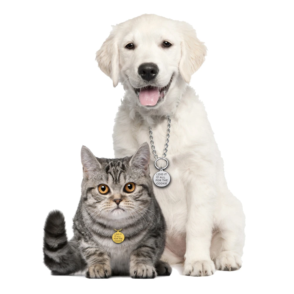 

Personalized Dog Plates Free Engraving Pet Id Tags Stainless Steel Cat Tag Customized Tag Medallion For Dogs Custom Accessories