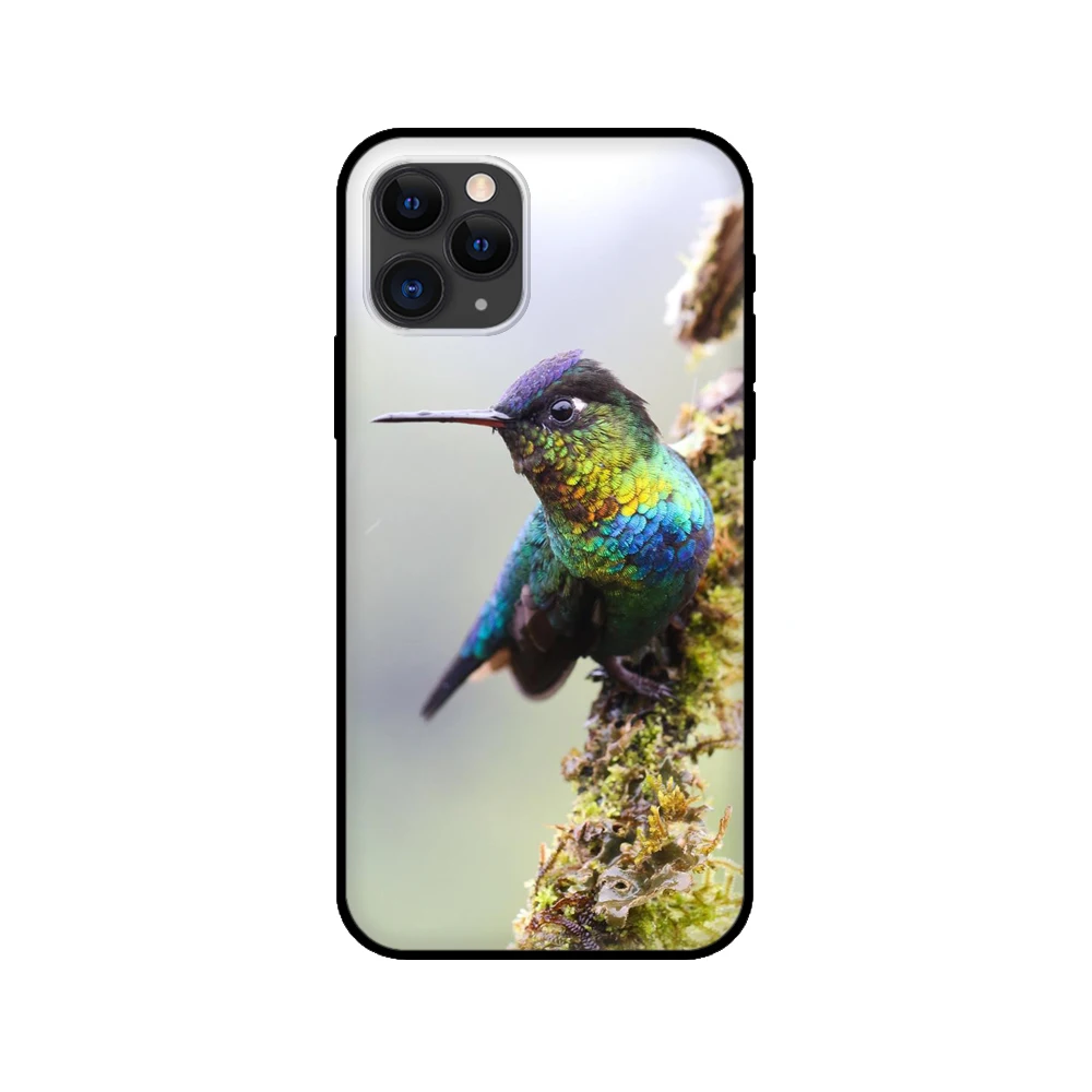 black tpu case for iphone 5 5s se 2020 6 6s 7 8 plus x 10 xr xs 11 12 mini pro max back cover pretty hummingbird free global shipping